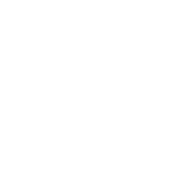 Computer Vision Systems